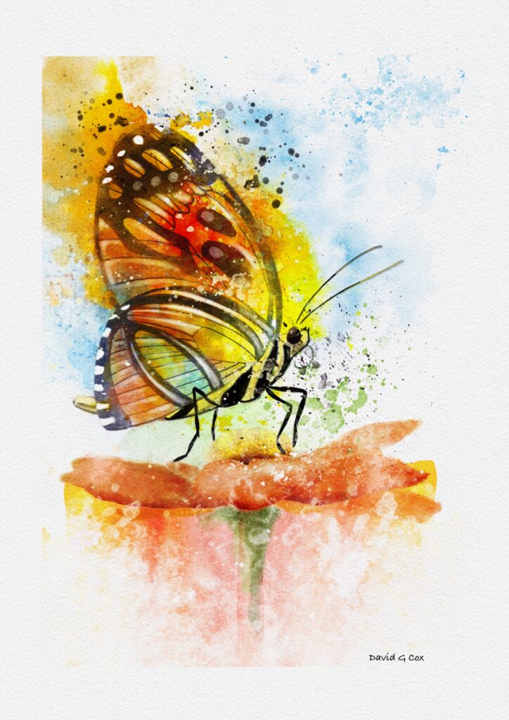 Butterfly - Watercolour