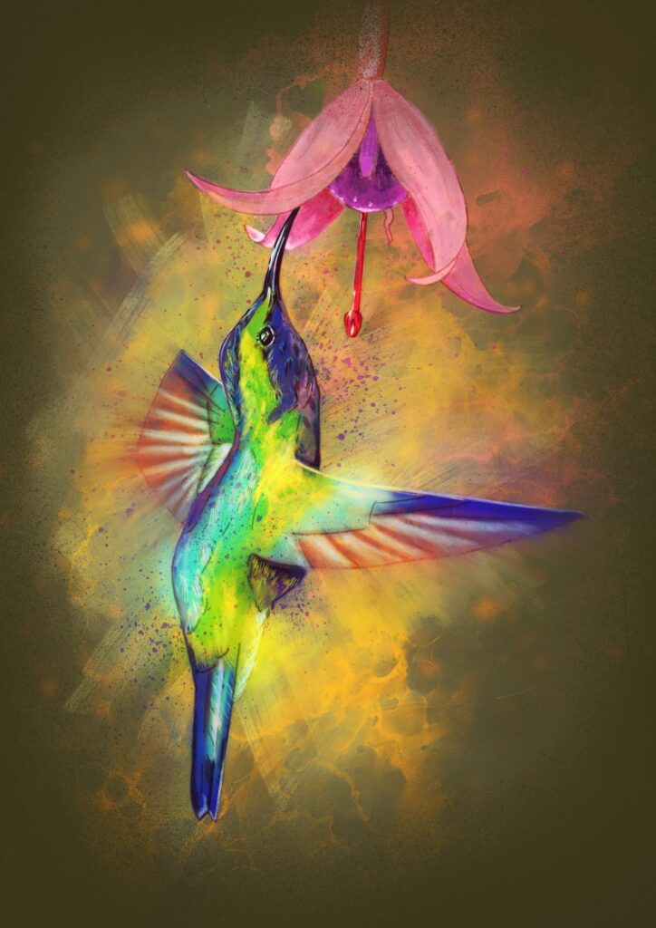 Hummingbird