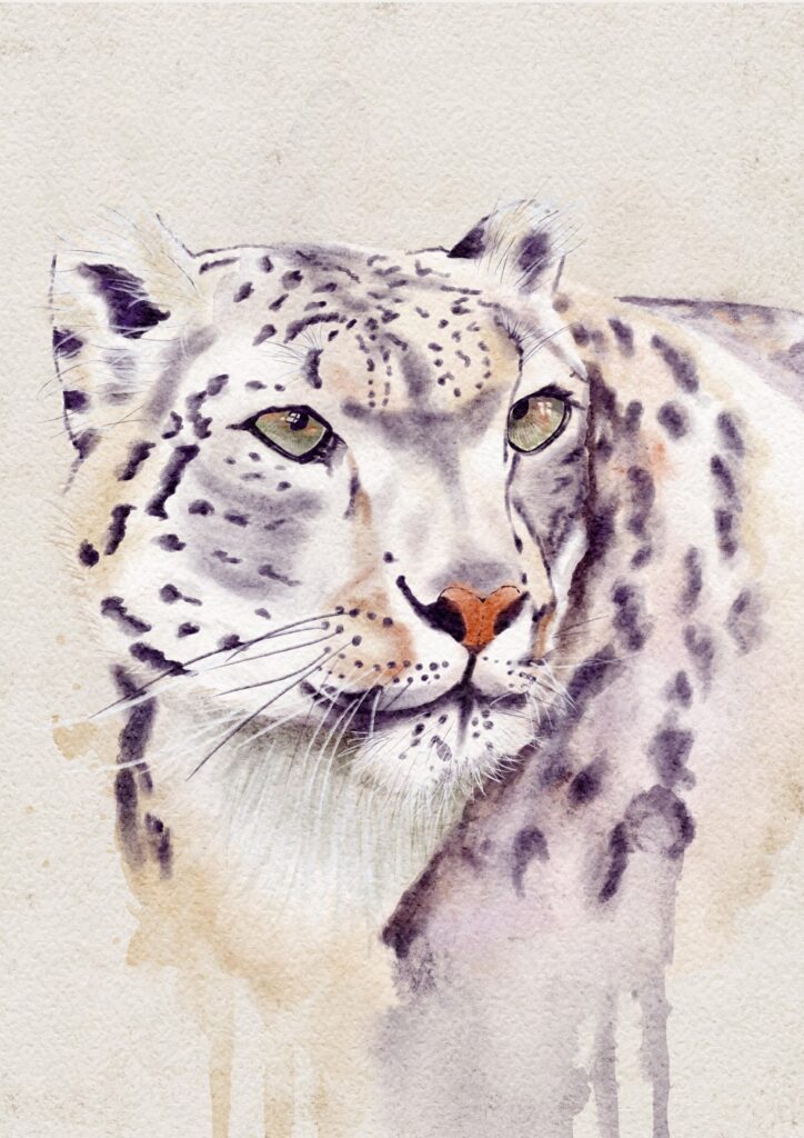 Snow Leopard