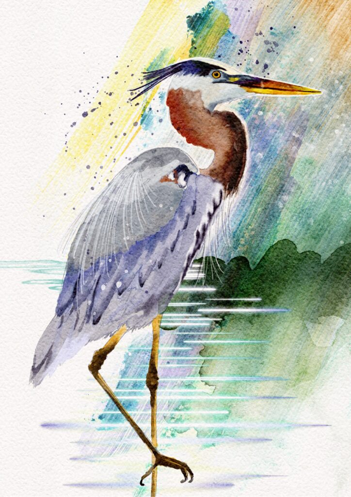 Heron